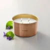 Lidded Metal Pampas 4-Wick Jar Candle Brass Finish 20oz - Hearth & Hand™ With Magnolia 2 Lidded Metal Pampas 4-Wick Jar Candle Brass Finish 20oz - Hearth & Hand™ With Magnolia -Hearth and Hand With Magnolia Store GUEST 11410258 7aee 44b9 92b9 e8351977d155