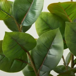 73" Faux Rubber Leaf Tree - Hearth & Hand™ With Magnolia -Hearth and Hand With Magnolia Store GUEST ba2dac9f 6b7d 4918 9626 46c071b77ecf